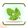 Plantix-Identify Plant,Disease icon