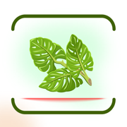 Plantix-Identify Plant,Disease