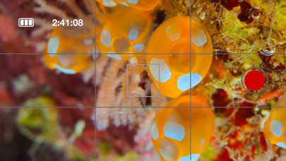 Screenshot #1 pour Underwater Mate for A01
