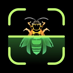 Insect Identifier