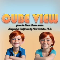 Cube View Visual Puzzles