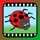Video Touch: Insects & Friends