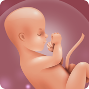 Pregnancy app uk: Calendar