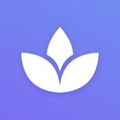 Chair Yoga for Seniors at Home