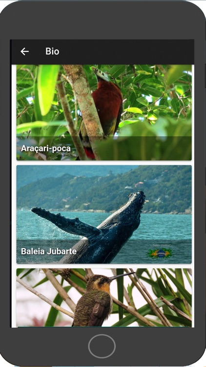 Tudoem O melhor de cada Cidade screenshot-8