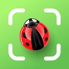 BUG Identifier - Insect,Spider