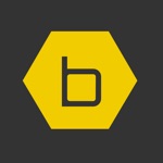 Download B-hyve pro app