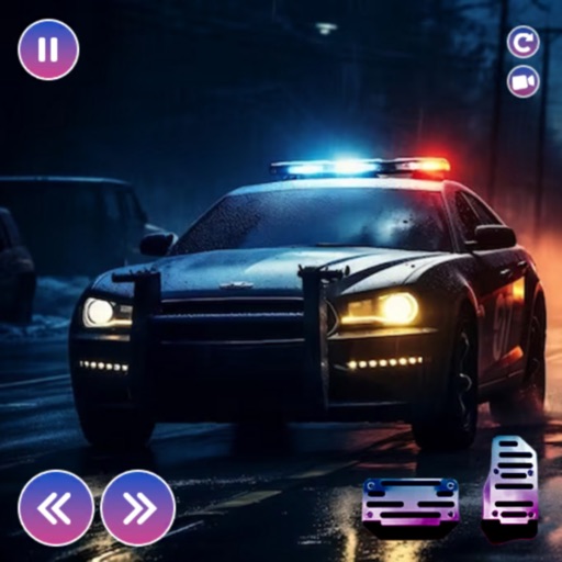 Police Cop Patrol Simulator