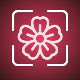 FlowerAI: Identify Flowers