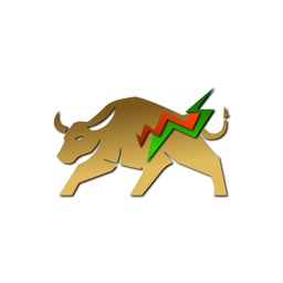 Borsa Canlı Takip