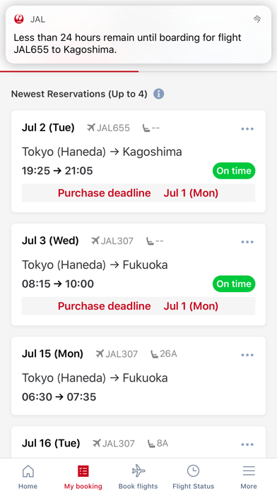 Japan Airlines Screenshot