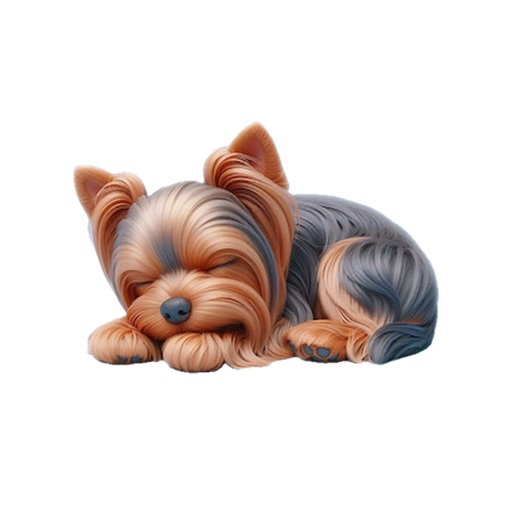 Sleeping Yorkshire Terrier