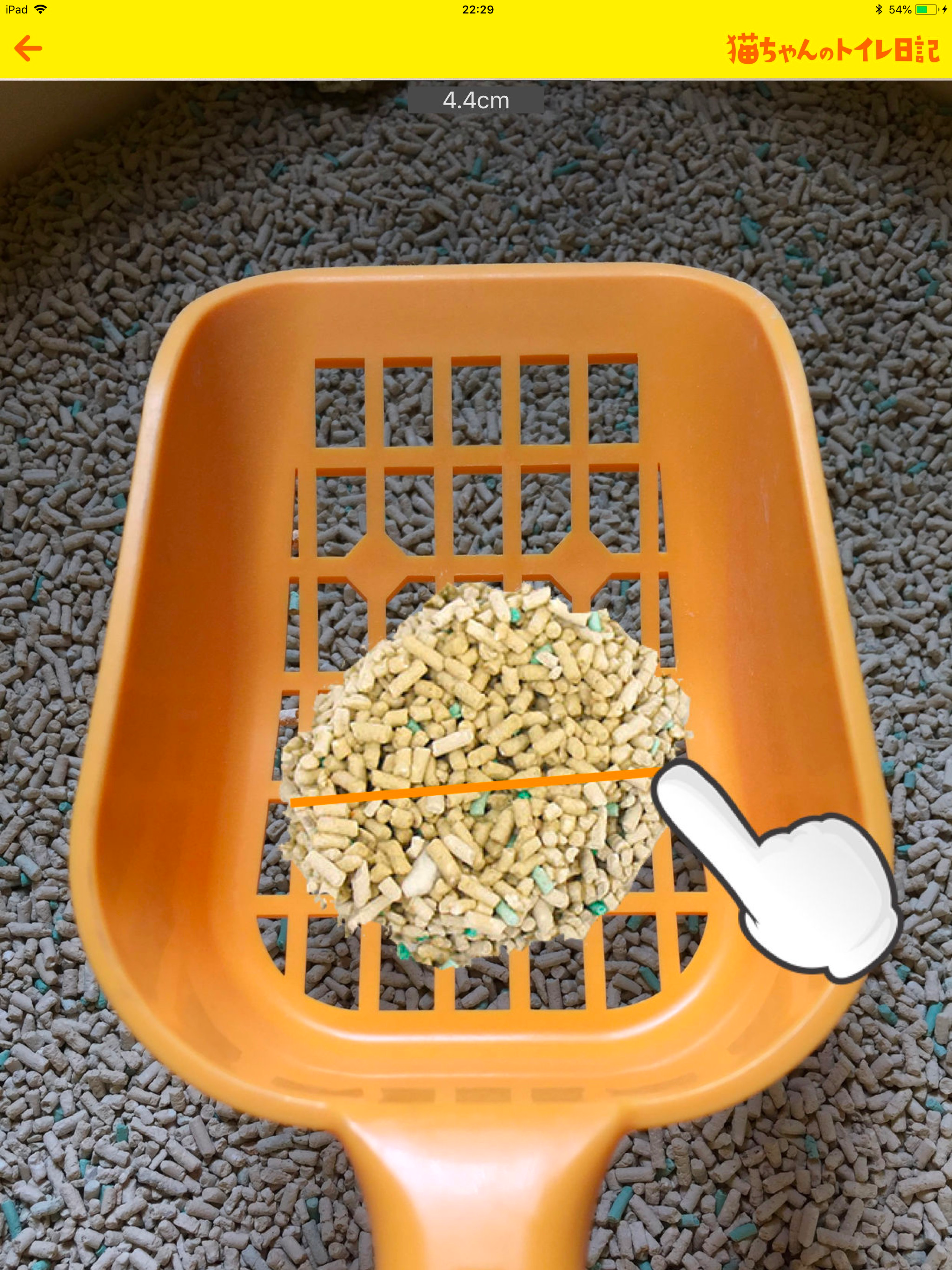 猫ちゃんのトイレ日記