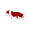 RescueDogs - The Searchdog App icon