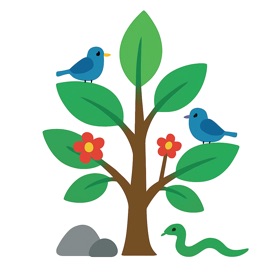 Nature Identifier