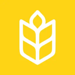 Kneady: Bread & Baking Recipes app icon