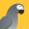 fastjet - Videcom International Limited
