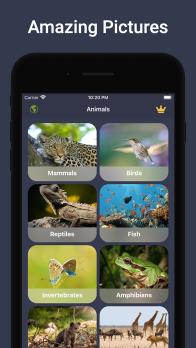 Animal Sounds & Bird Noises Screenshot