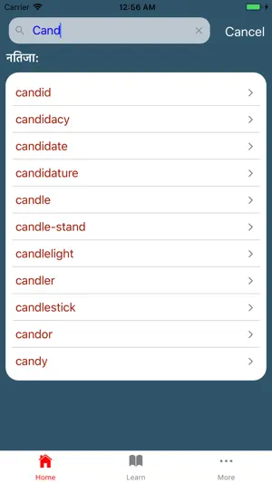Nepali Shabdakosh Dictionary screenshot 4