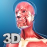 Get My Muscle Anatomy for iOS, iPhone, iPad Aso Report