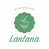MI Lantana problems & troubleshooting and solutions