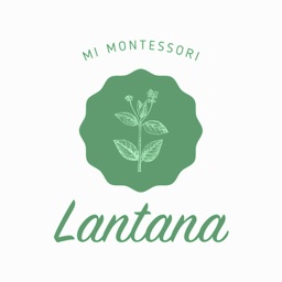 MI Lantana