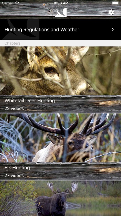 Big Game Hunting by HowtoHunt screenshot-3