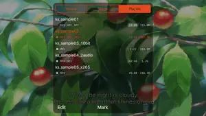 KPlayerAir screenshot 2