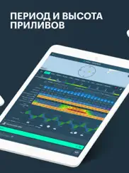 windy: погода, ветер и волны айпад изображения 3