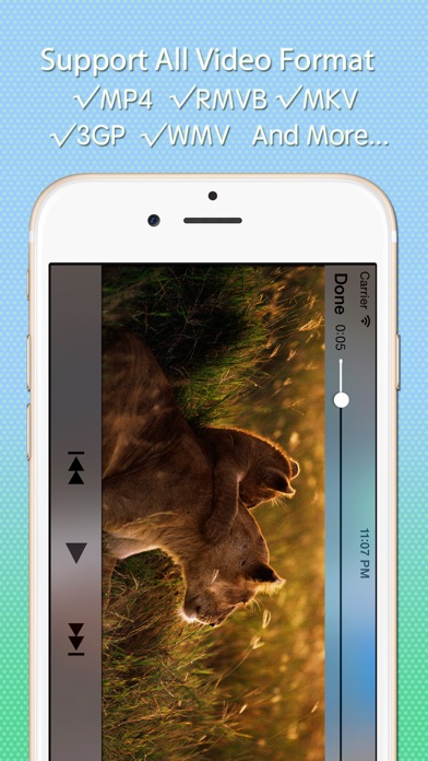 Pandora Drive Li Screenshot