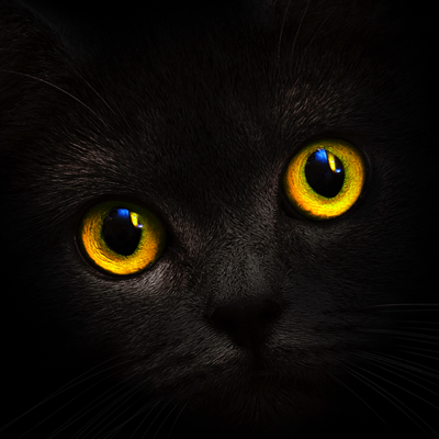 BlackCatCard: carte prepagate