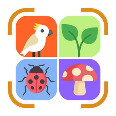 Identify : Bugs Plants Birds