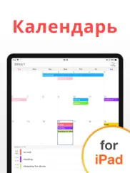 Простой Календарь - Ежедневник айпад изображения 1