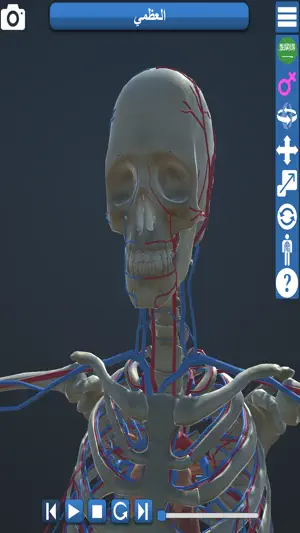 Educational Anatomy 3D screenshot 4