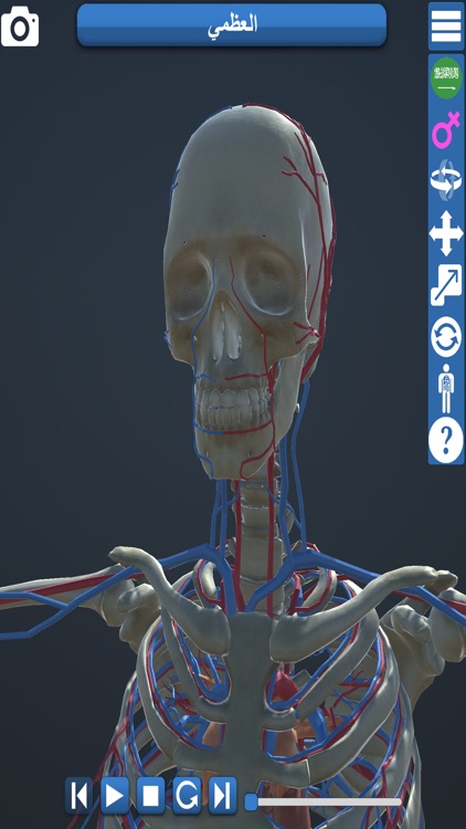 Educational Anatomy 3D screenshot-3