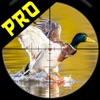 Jungle Birds Shooter Pro icon