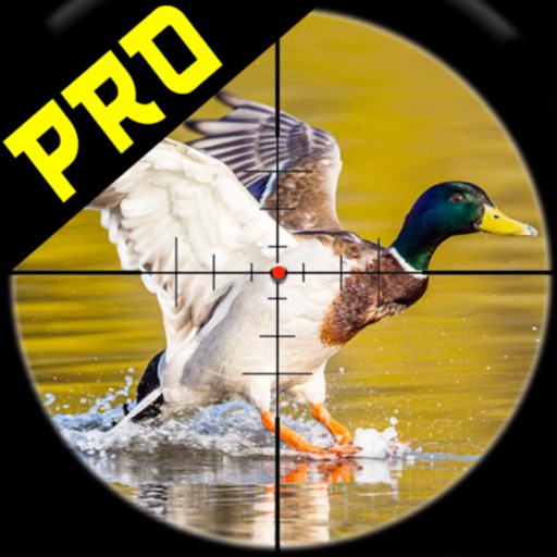 Jungle Birds Shooter Pro: Hunt