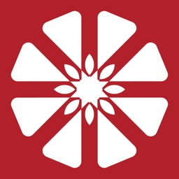 Pizzeria Primavera Firenze
