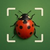 Bug Identifier - BugSnap icon