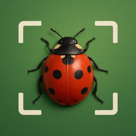 Bug Identifier - BugSnap