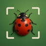 Get Bug Identifier - BugSnap for iOS, iPhone, iPad Aso Report