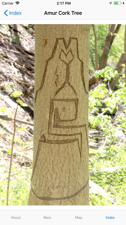 Other Order screenshot-3