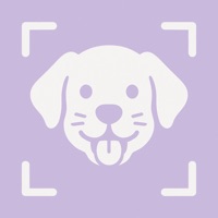 Dog Breed Identifier ID