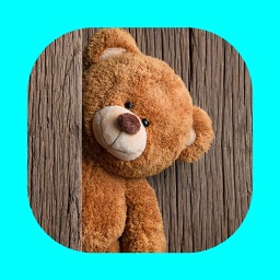 Jeux pour enfants,cartes flash