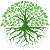 Herbario Terra Energy