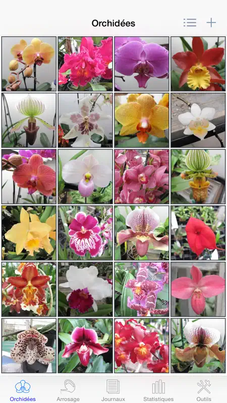 Album d'orchidées screenshot 1 of 5