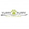 The Yuppy Puppy (Lake Bluff, IL) app enables users to make reservations, see and pay invoices, message with Yuppy Puppy (Lake Bluff, IL), and see photos of their pets