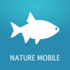 Fishes PRO - Field Guide - NATURE MOBILE G.m.b.H.