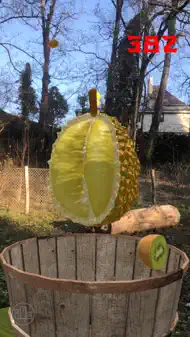 Fruit Warrior AR iphone bilder 3