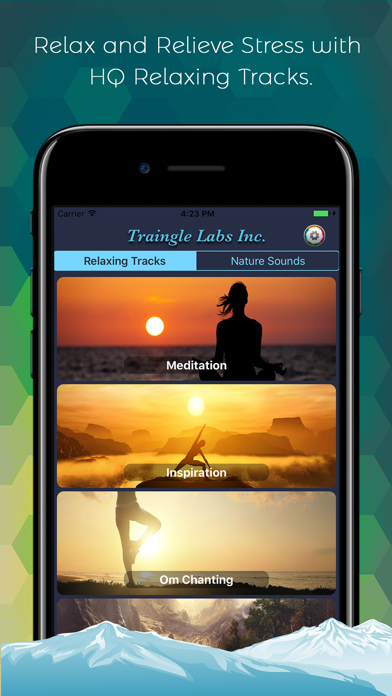 Screenshot #1 pour Meditation Music and Melodies